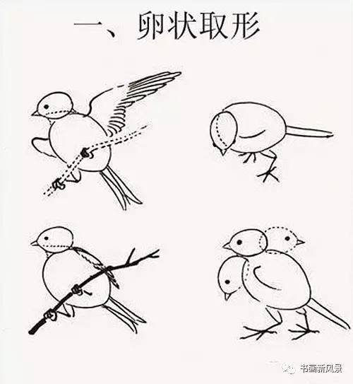 具体描写鸟的姿态句子