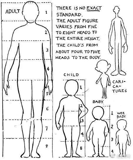 教育 正文  从上图我们能够清楚的看到人体各部位之间,大致的头身比例