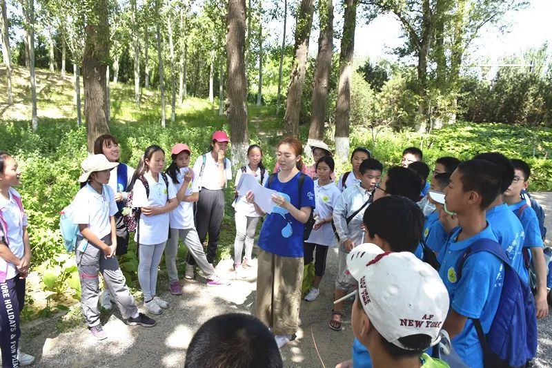 五天让萌娃收获满满！这星空体育官网样的夏令营我也想来！(图11)