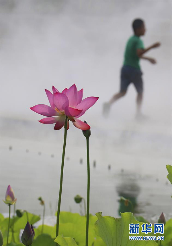 简谱雾里看花_雾里看花图片(3)