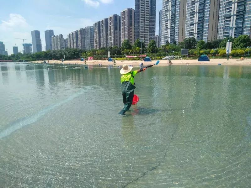 想你所想佛山新城露天泳场不一样的贴心服务