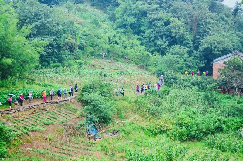 鸡公山位于北碚嘉陵江的小三峡地段,两岸青山,相对而出,恰似一幅绝妙