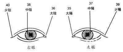 面相眼睛看中年运势,三十而立,四十不惑,五十知天命!