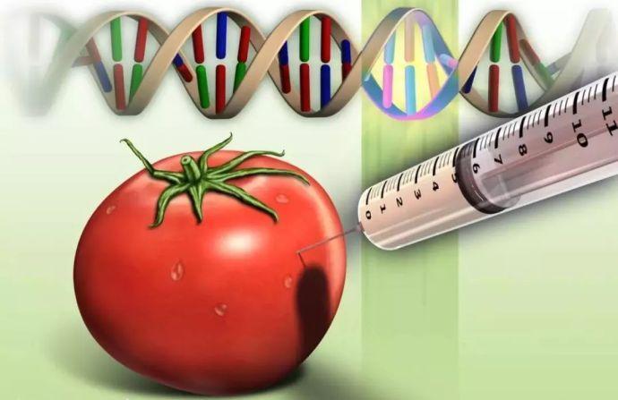 必看!转基因食品的鉴别知识丨质加鲜生