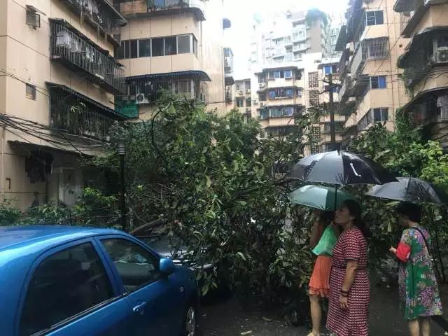 毕节观音桥街道人口_观音桥街道办事处(2)