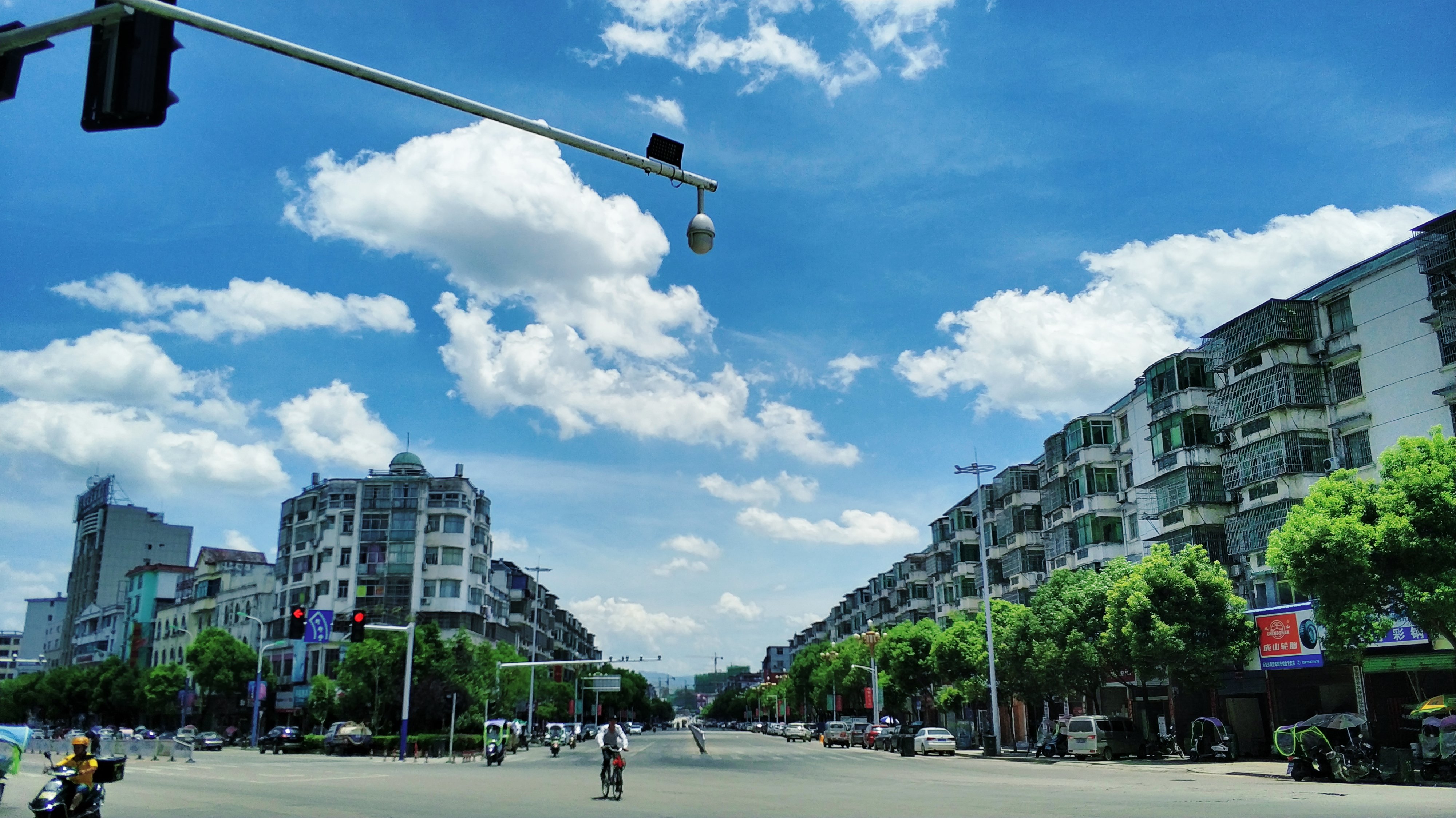 吉尼斯记录最大古樟树林-江西抚州市乐安县水南村-美景满满