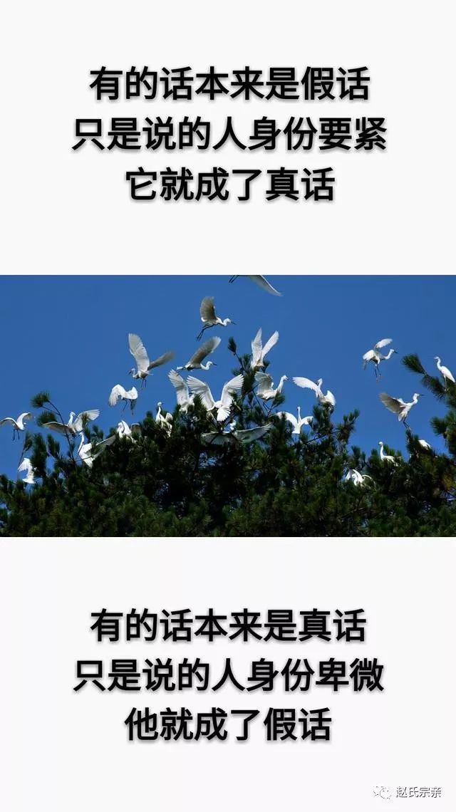 搞笑 正文  常回家看看 投稿  编辑 | 赵英雄 时间会证明,谎言永远