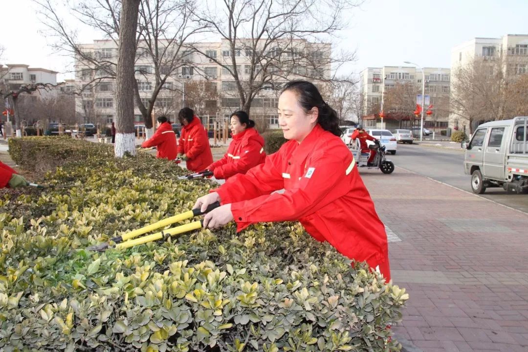 仇寿高清