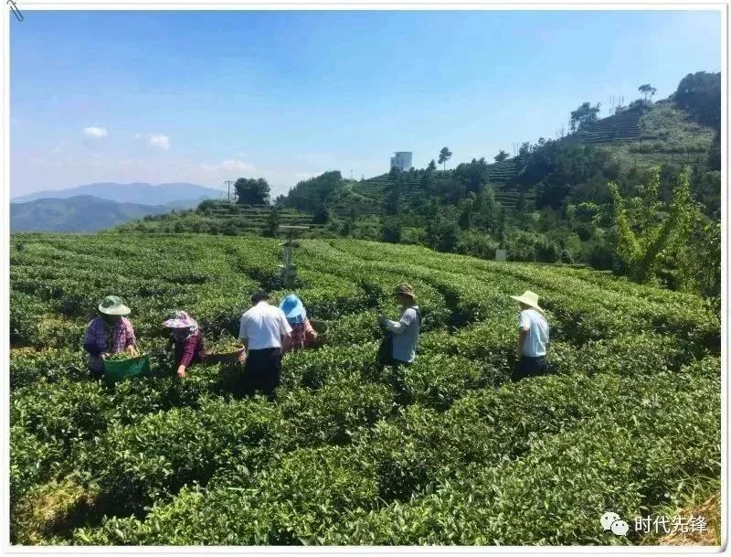 罗源县中房镇满盾村人口