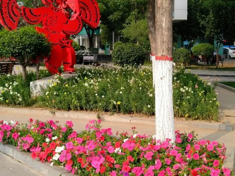 花箱广场花柱(将军广场(市政广场(祝融公园(滨河公园(一)景观篇