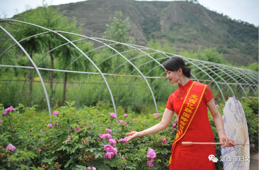 明艳动人; 穿旗袍的女人如歌,悦耳动听; 近日,甘肃旗袍协会在定西开展