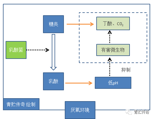 发酵的基本原理是什么_馒头发酵原理手抄报