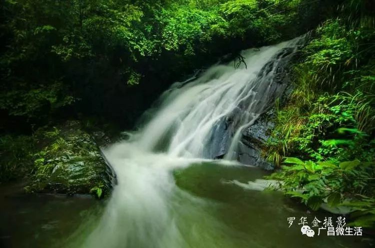 《 醉美莲乡 生态广昌 》 一一滴水寨瀑布群专辑