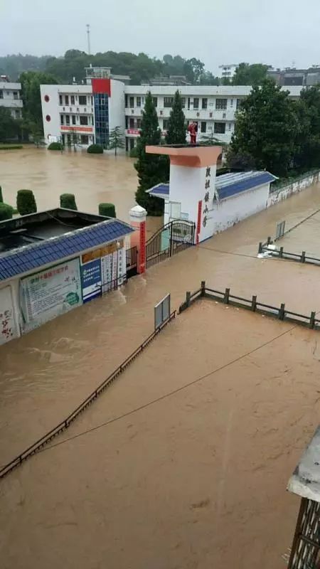 一夜大雨大冶殷祖镇泪奔这些暴雨防御知识你不得不知