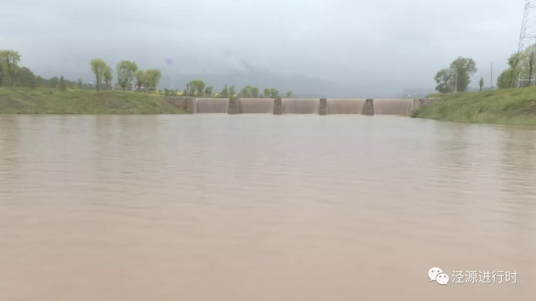 【泾河吼啸 气势磅礴】我县连降大雨,泾河成为了泾河