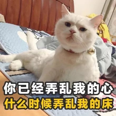 "那你怎么紧紧抓住我的