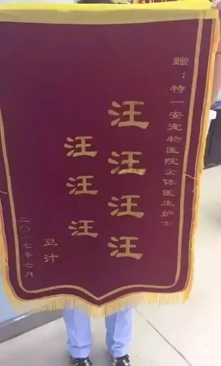 然而类似这样奇葩的锦旗 我猜它说的是 谢(还)谢(我)你(dan)!