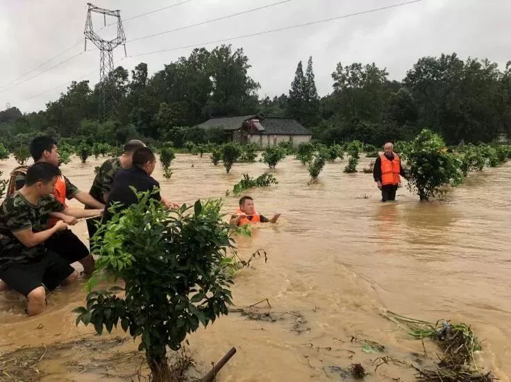 临邛镇人口_邛崃各乡镇秘密大曝光,99 的邛崃人惊呆了