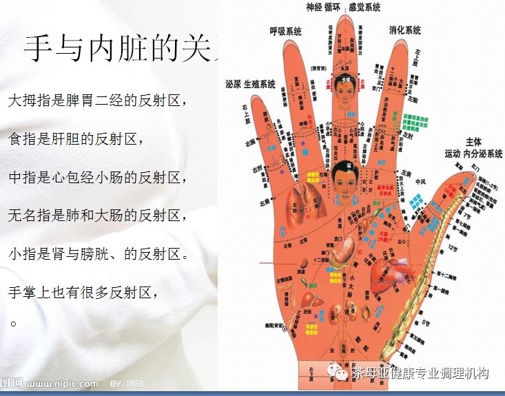 手疗——手部经络按摩疗法