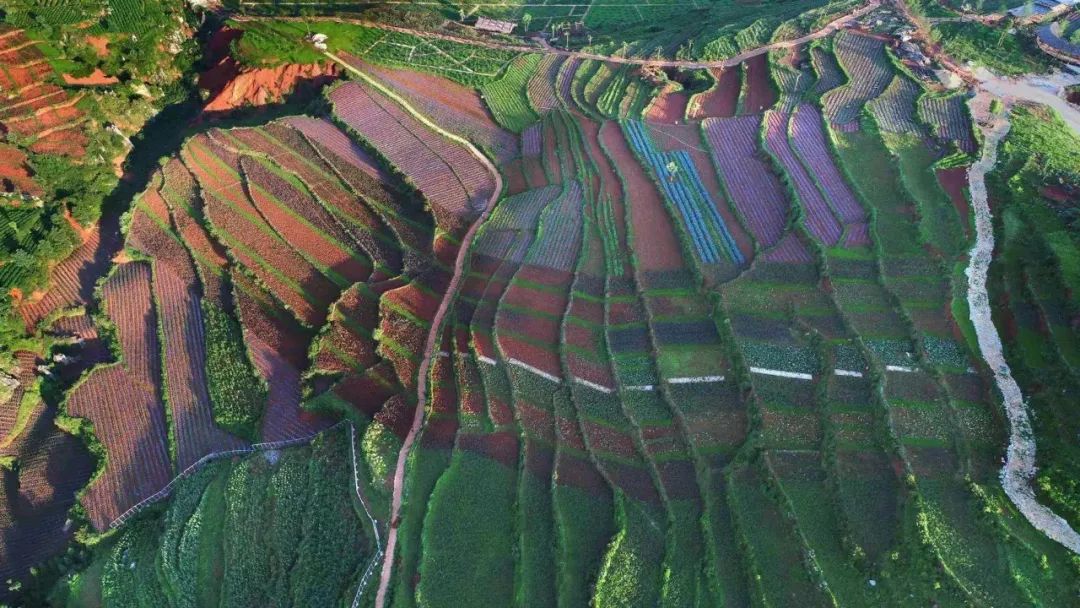 曲靖富源多乐原风景区——花海,溶洞