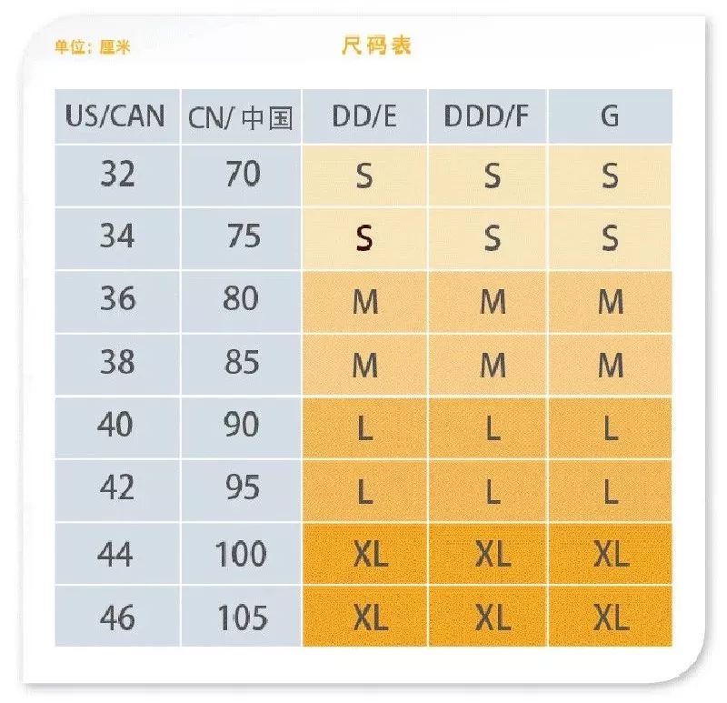 欧洲内衣尺码_内衣尺码对照表