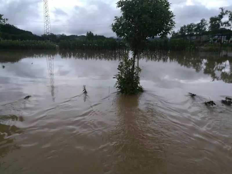 一夜大雨大冶殷祖镇泪奔这些暴雨防御知识你不得不知