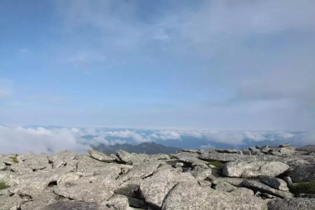 旅游 正文  青峰峡森林公园沿秦岭山脉呈天然峡谷山势,海拔介于1340—