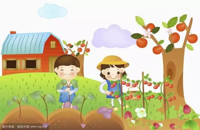 【春和中心幼儿园种植乐园】孩子们的生态实践场地