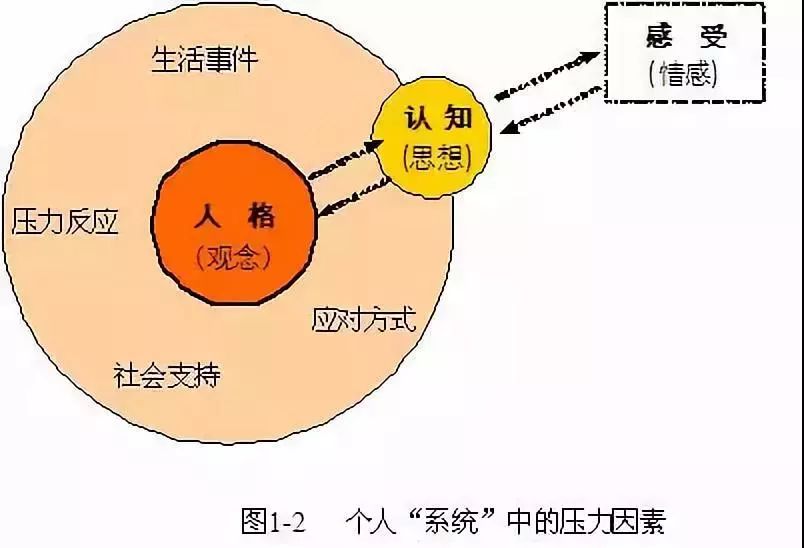 社会工作常用的18种理论,万能护身符!丨公益科普