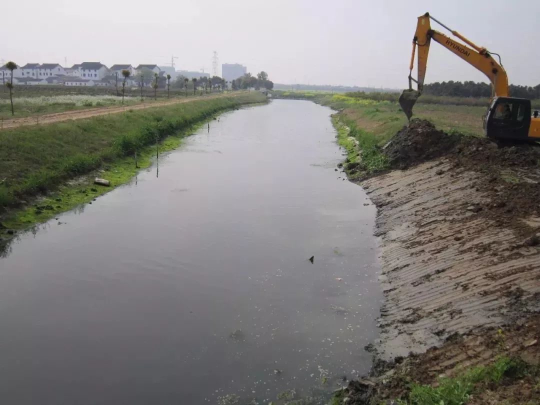 河道整治后↓