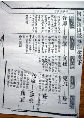 老桐城藕山竹林堂《阮氏宗谱》简介