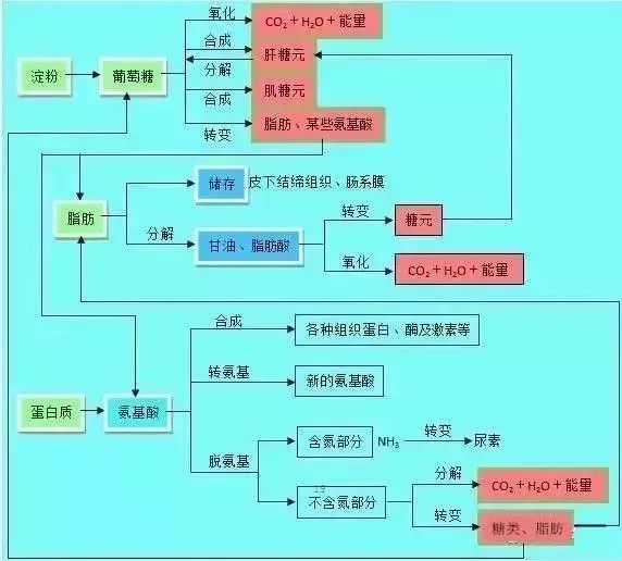 理综知识系统框架图,掌握住,考试稳拿240 !