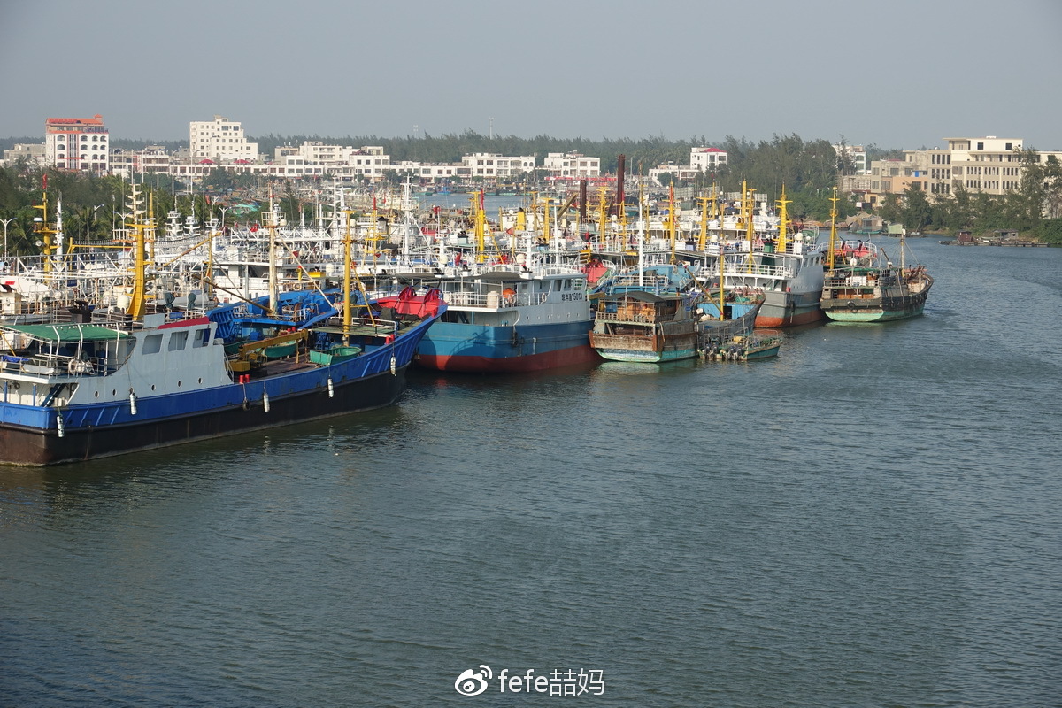 暑假去哪玩:海南潭门鱼港(组图)