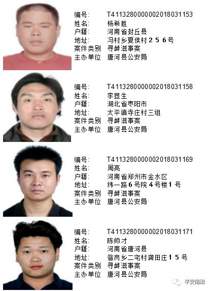 扫黑除恶淅川这几人被通缉南阳共161人被公安局通缉令2018年7月最新