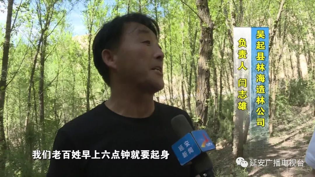 吴起县林海造林公司负责人 闫志雄