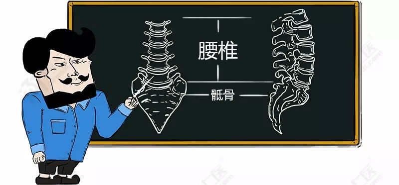 同样都是腰椎间盘,为什么你的这么突出?