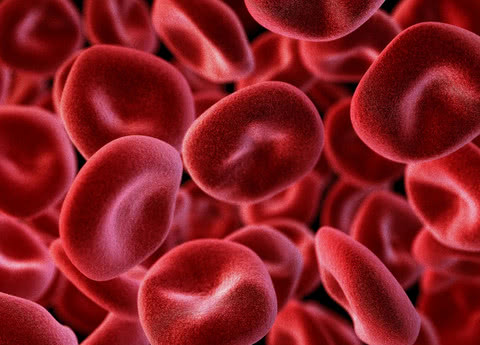 血管斑块为什么会堵塞血管?