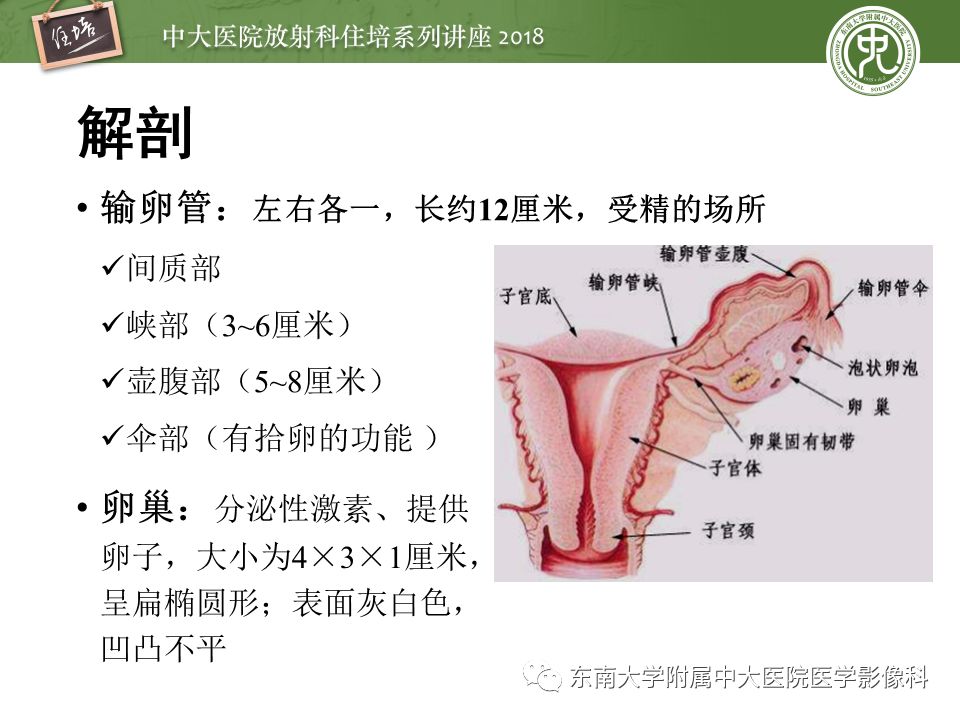 女性盆腔mr扫描规范子宫内膜癌及宫颈癌分期