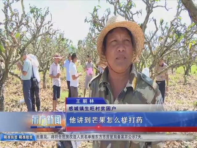 感城镇生旺村贫困户 王朝林