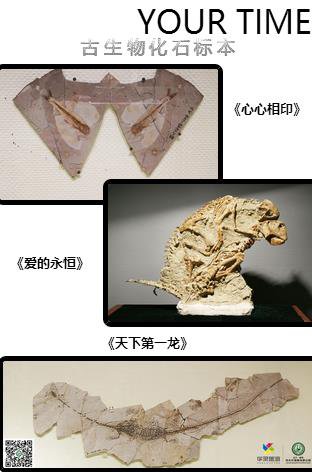 少年派研学游!就来朝阳鸟化石国家地质公园体验古生物科考