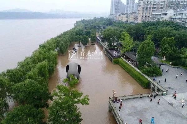 泸州市有多少人口_很久的就建的哈泸州大桥(2)