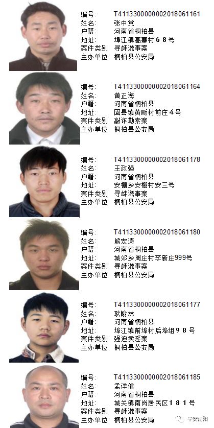 【扫黑除恶】淅川这几人被通缉,南阳共161人被公安局通缉令(2018年7月