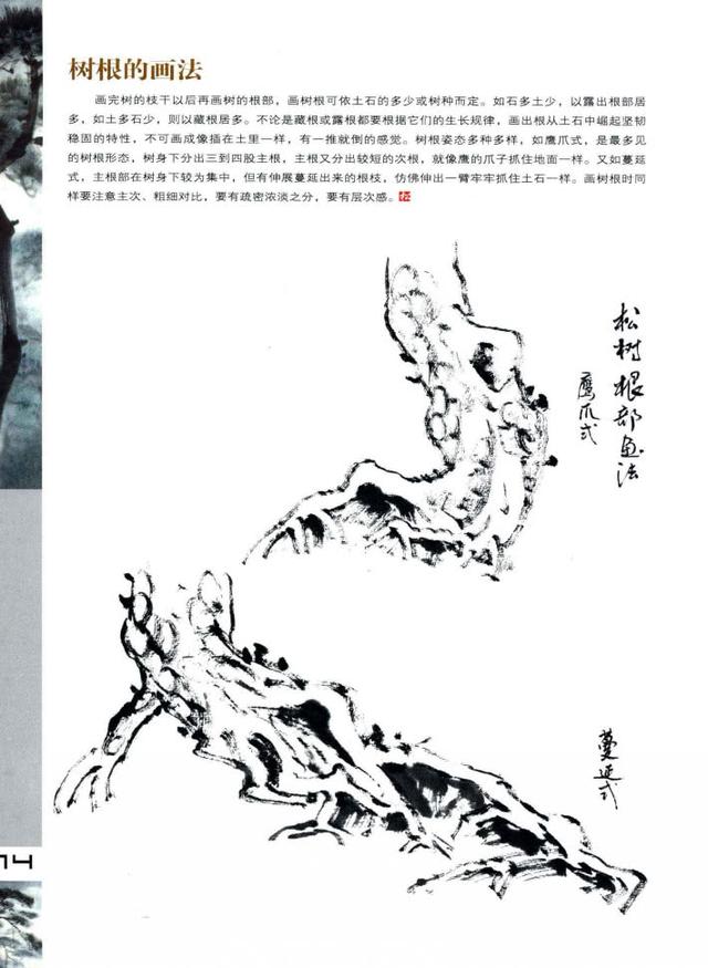 松树的基础画法图解,松树的各种画法,松树的结构及作画步骤详解