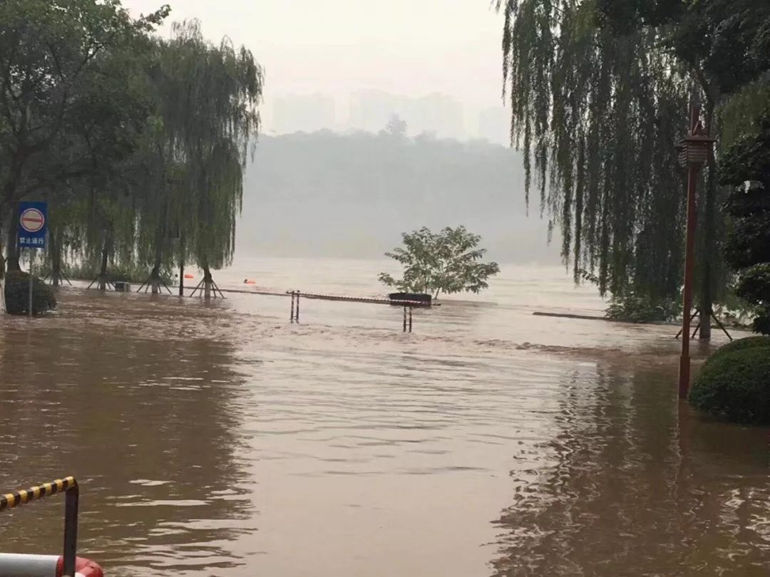 长江涨水沱江涨水近日持续降雨致泸州滨江路被淹