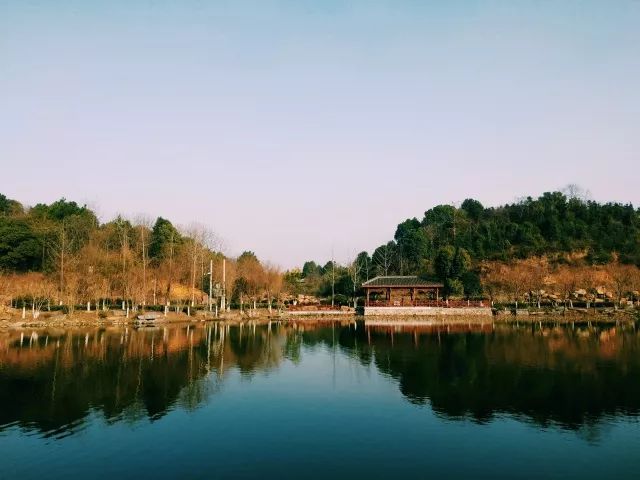 旅游 正文  而我也一边埋怨湖大的混杂鼎沸 一边收集湖大最活色生香的