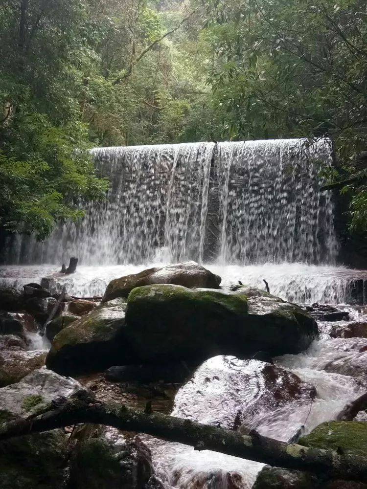 新平哀牢山游|林越深,山更幽,水更静,人亦醉