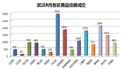 武汉原人口_武汉人口密集图(2)