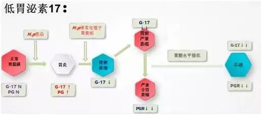 血清胃泌素17检测抽取25ml的血液就可以筛查胃癌