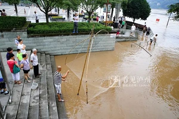 泸州有多少人口_感受五年辉煌巨变 泸州启动城市跨越发展新引擎(3)