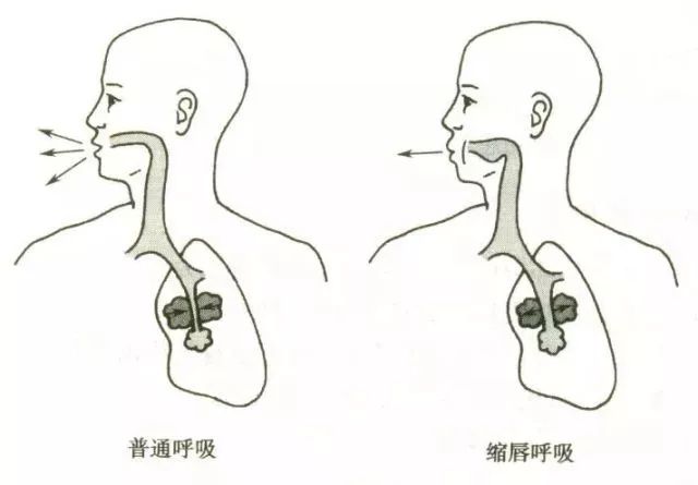 什么有肺肠成语_脸开头的成语有什么(2)